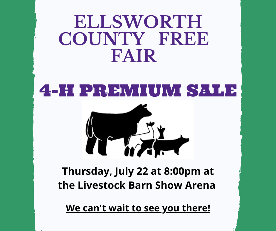 Ellsworth Livestock Sale