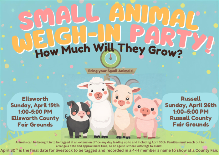 Small Animal Weigh-In