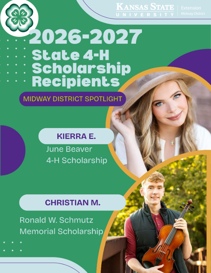 4-H scholarship 